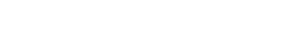 Dubai Future Foundation Logo White