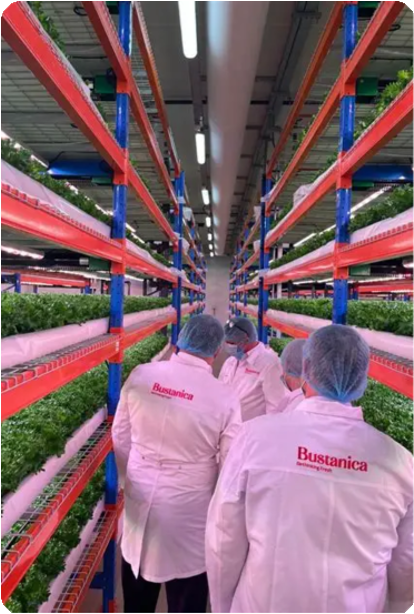 Indoor vertical farm with controlled lighting and growing systems